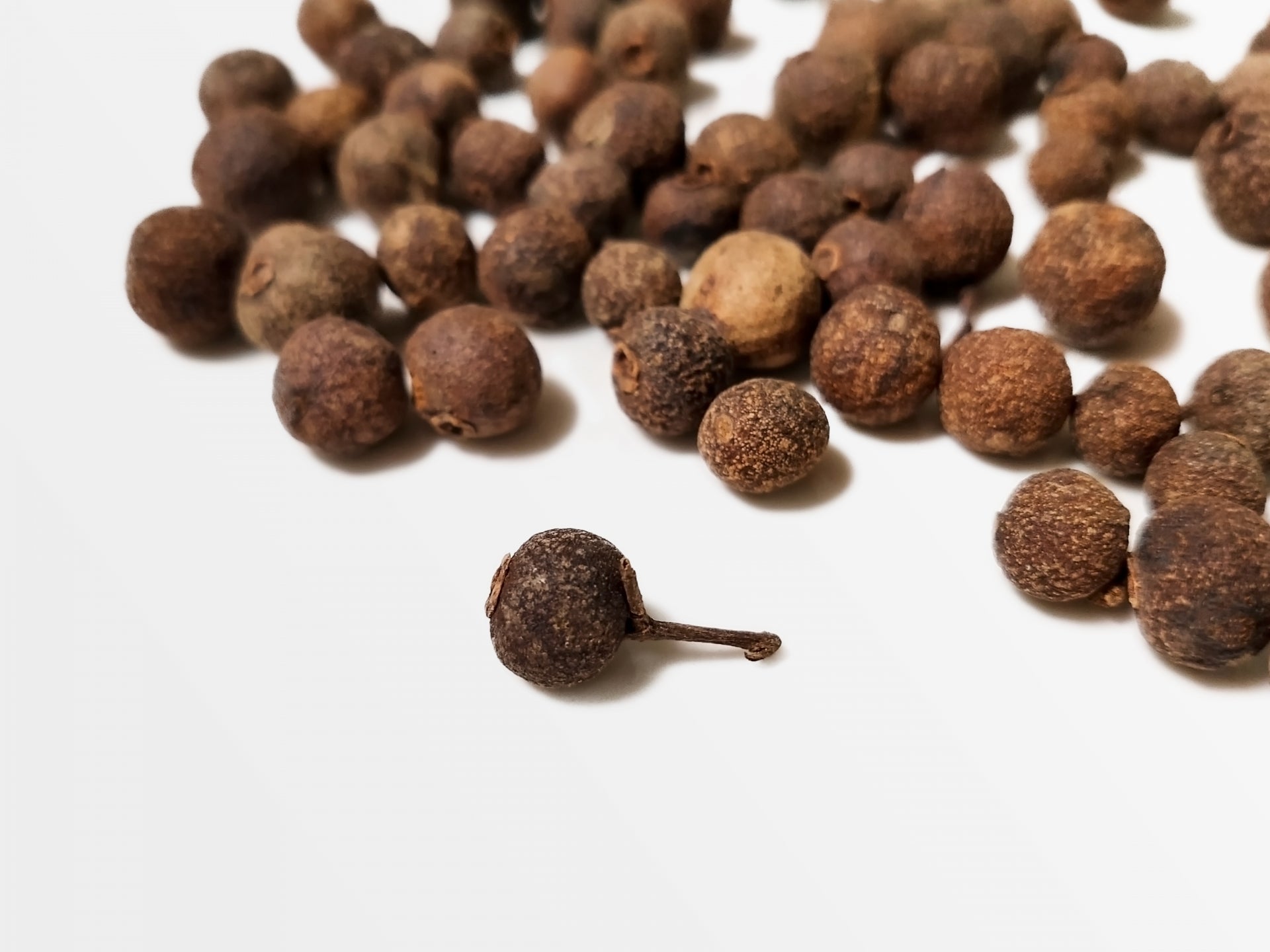 オールスパイス – SPICE KINGDOM